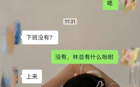 《霸道总裁碍上我》