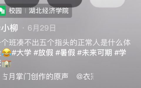 大学生暑假去干啥了