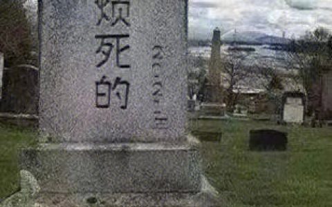 我未来： ​​​​