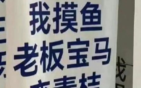 周五不摸鱼，脑子有问题