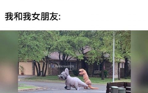 找一个化石翼龙女朋友
