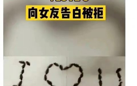 做个人吧