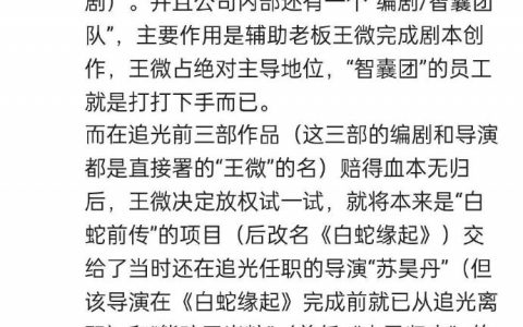 开自己的公司自己玩，过自己的瘾赔自己的钱