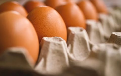 疯狂的鸡蛋：蛋价一路狂奔，蛋企依然迷茫