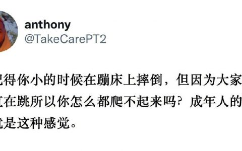 成年人的生活就是这种感觉