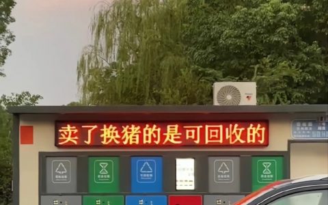 猪没有惹你们任何人