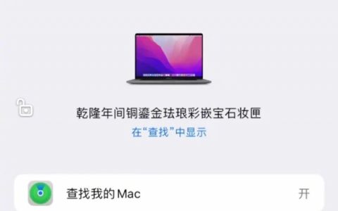 手机瞬间就高级起来了哈哈哈哈哈哈
