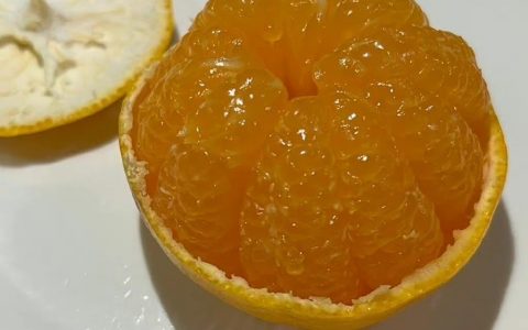 作为一个闲人，给大家剥了一个橘子。 ​​​​