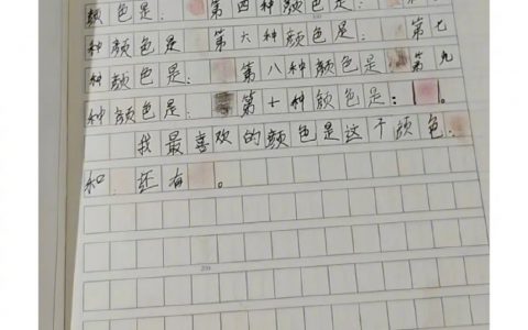 妈妈的眼影有10种颜色