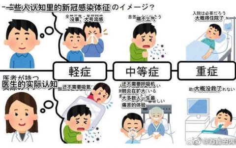 日本人做的图还不错，你以为的轻症是没啥症状，医生说的轻症是还不至于死了。。 ​​​​