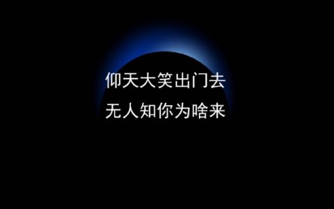 遍插茱萸少十一人