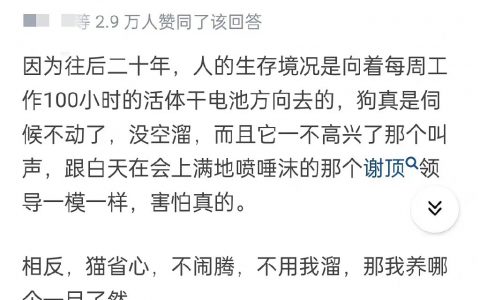 为什么狗的风评不如猫了哈哈哈哈哈哈哈哈哈哈哈哈哈哈哈哈哈哈哈哈哈哈哈哈哈哈笑疯了 ​​​​