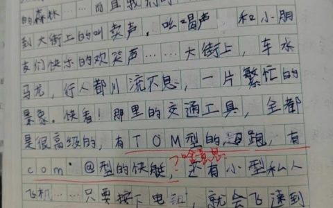 像极了小时候无脑抄作业的我