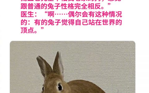 《只是单纯太可爱了》