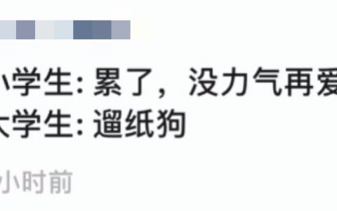 当代小学生和大学生