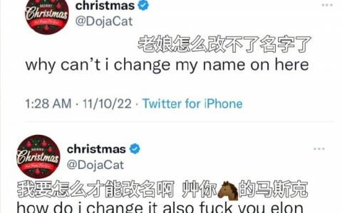 马斯克和豆荚猫DojaCat互啄太好笑了