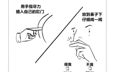 请全体学习