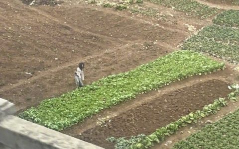 稻草人可以接地气 不可以接地府 ​​​​