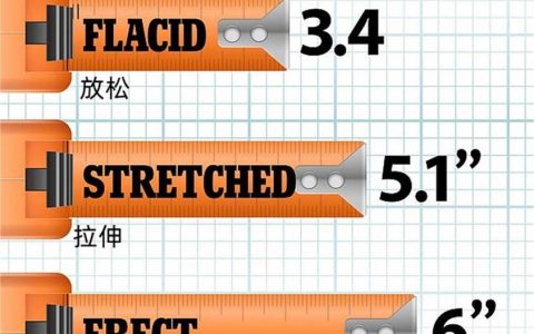美国男性丁丁过去30年增长了1/4，或与接触有害化学物质有关
