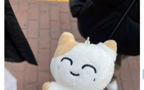 在别人家享了清福才走的爱豆玩偶