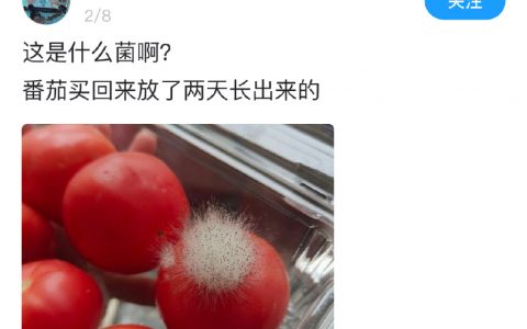 这个叫只要在培养皿就会死菌