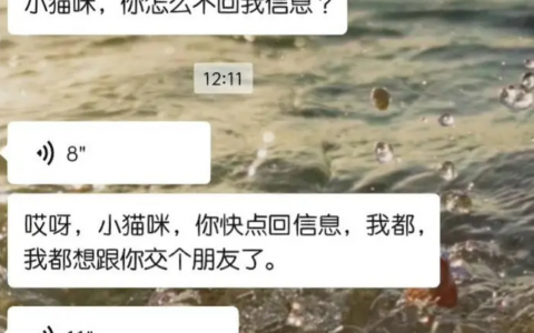 朋友的侄女以为我是猫