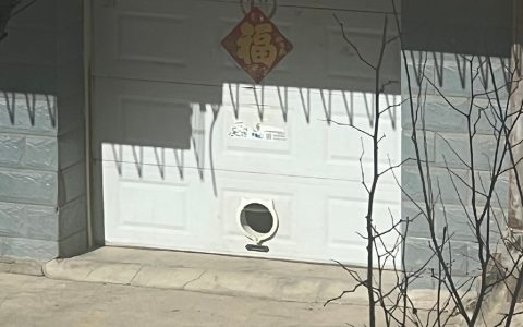 开车门就像开盲盒一样！每天都不知道里面有几个猫猫