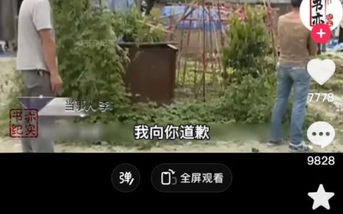 《我保证以后下手轻点》