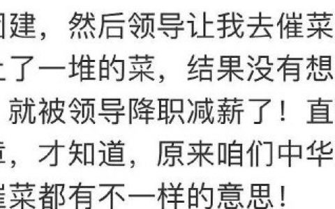 我不适合活在饭局上
