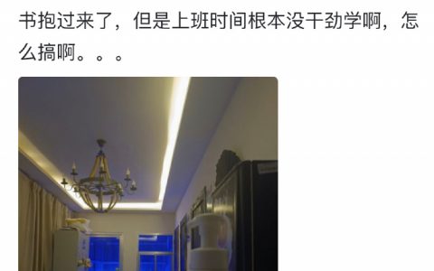 “关于老板打工养我这件事” ​​​