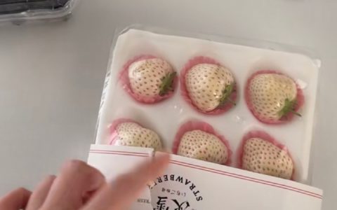 surprise！