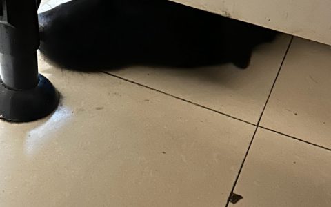 没想到这么好笑