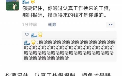 你要记住，你通过认真工作换来的工资那叫报酬，摸鱼得来的钱才是你赚的。