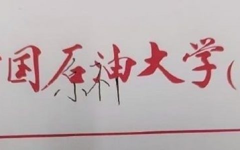 字还挺好看