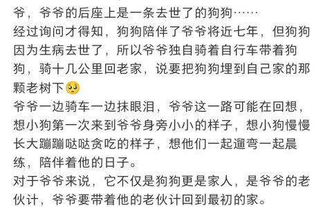 爷爷骑车十几公里带去世的狗狗回家 养毛孩子的人看不得这些