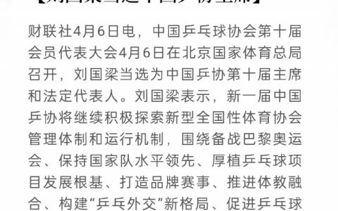 刘国梁连任中国乒协主席