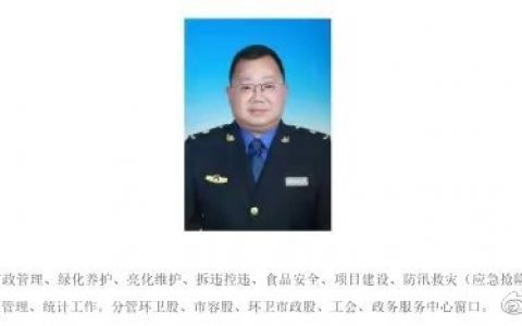 开网约车被处分的副镇长有了新职务