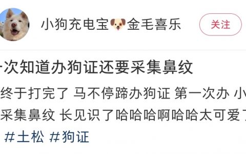 哈哈哈哈哈哈哈，没想到狗狗拍身份证也那么好笑 !  !  !  !  !