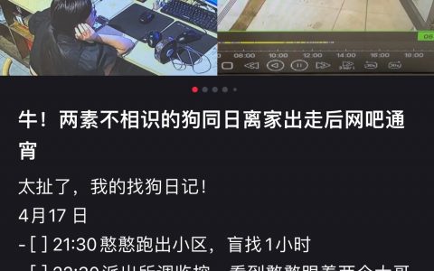 《狗狗Yp日记》