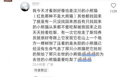 杀我别用小熊猫刀啊
