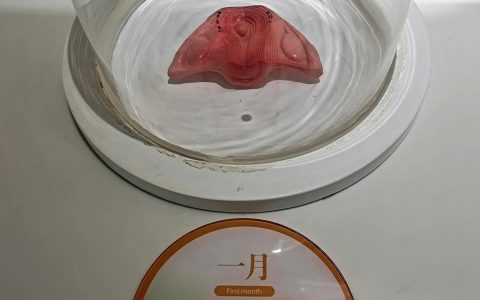 怀孕不同时期 ​ ​​​