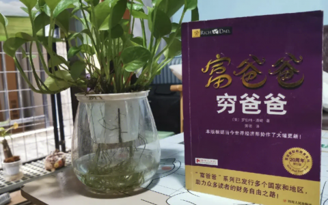 《穷爸爸 富爸爸》是初中时候的畅销书，但其实真的有不少警句