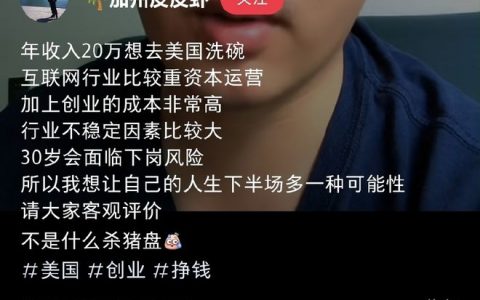 “年入20万，想去美国打黑工洗碗”