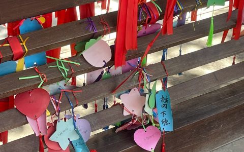 当代人许愿真的好卑微……  ​​​
