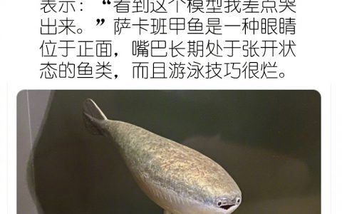 原来这就是著名表情包的来源！ ​​​