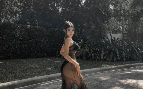 618会员合集，错过等半年！