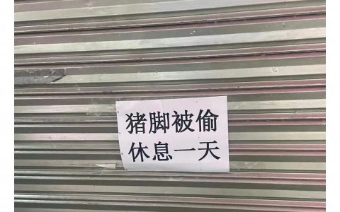偷懒还需要什么理由