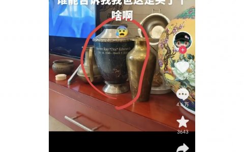 漂洋过海来中国，没想到吧史蒂夫先生？！ ​​​