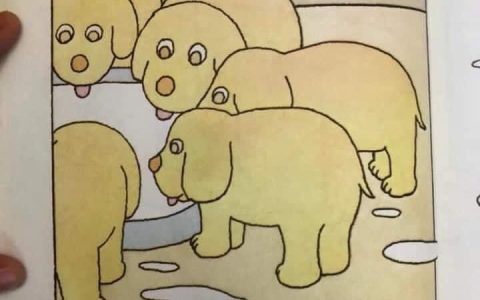 《最后那只小狗》 ​​​
