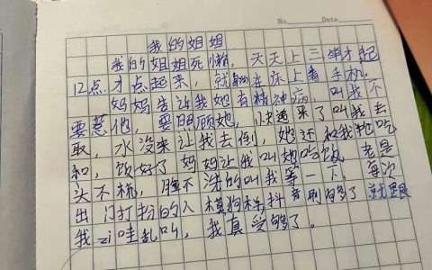 《我的姐姐》